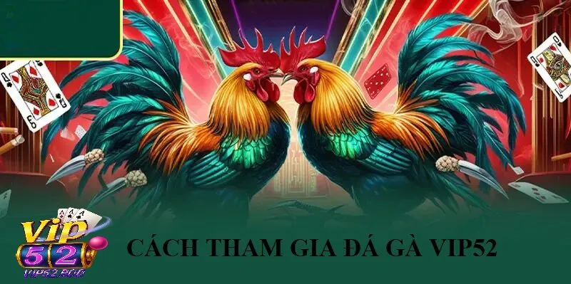 Đá Gà Vip52 Cách Tham Gia Đá Gà Vip52 Nhanh Chóng Và Đơn Giản