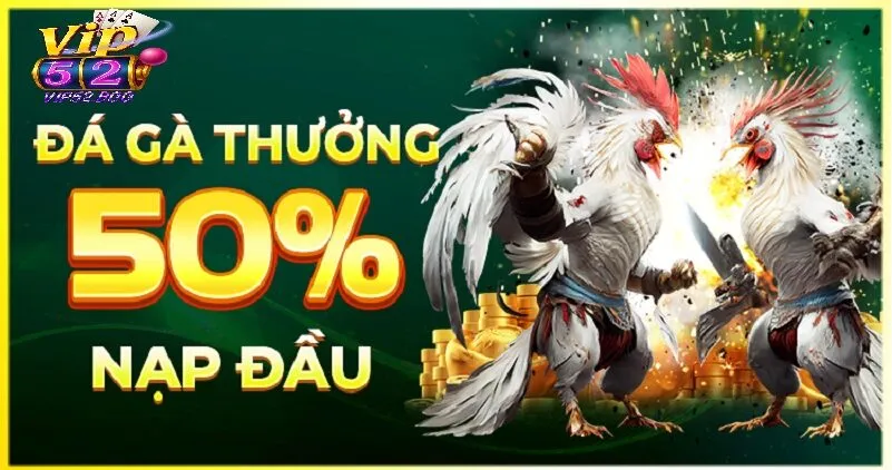 Đá Gà Vip52 Chính Sách Khuyến Mãi Hấp Dẫn Khi Tham Gia Đá Gà Vip52